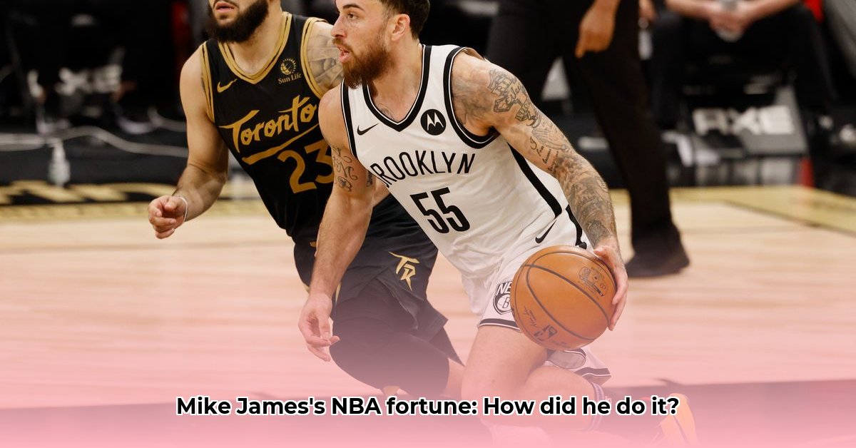 mike-james-nba-net-worth